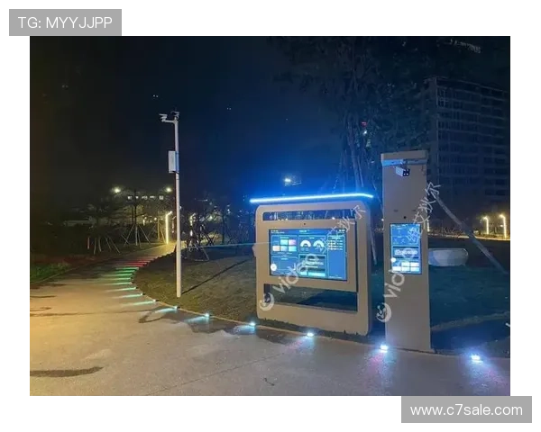 完美体育平台融合创新技术，打造个性化运动方案满足多样化用户需求